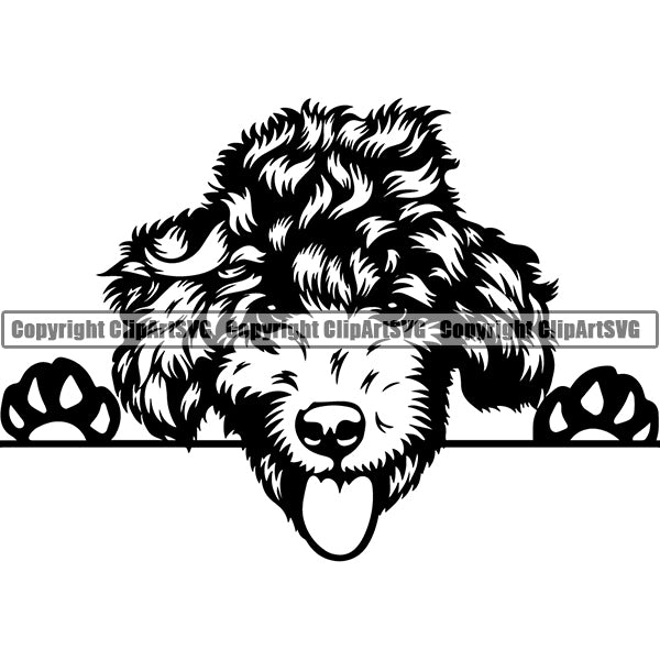 Poodle Peeking Dog Breed ClipArt SVG 007