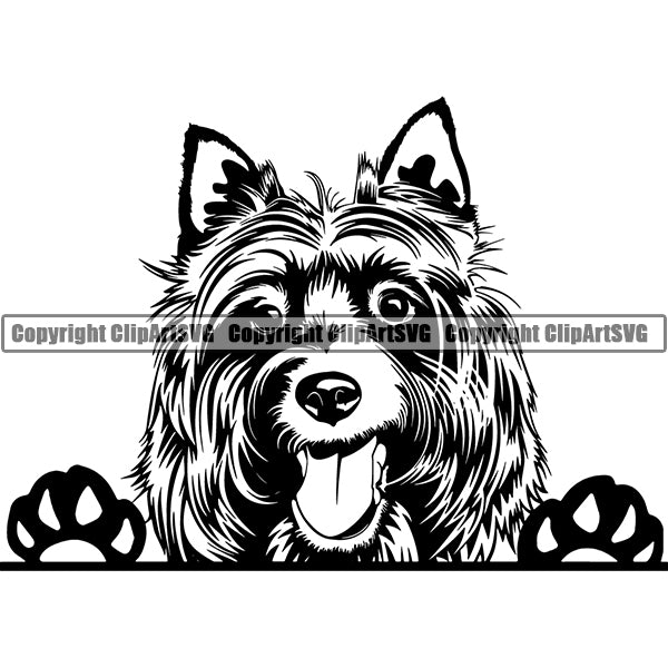 Australian Shepherd Peeking Dog Breed Clipart SVG 006