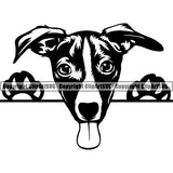 Jack Russell Terrier Peeking Dog Breed ClipArt SVG 006