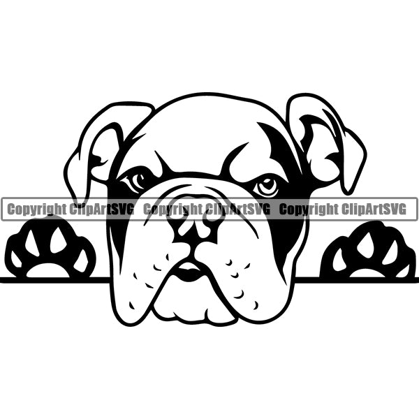 English Bulldog Peeking Dog Breed ClipArt SVG 012