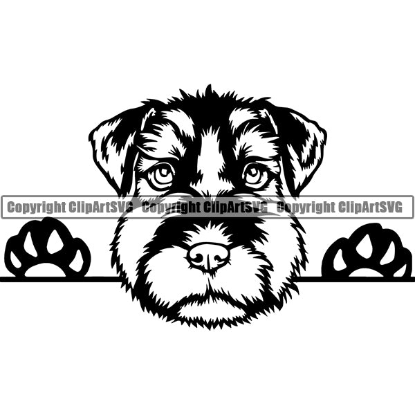 Schnauzer Peeking Dog Breed ClipArt SVG 011