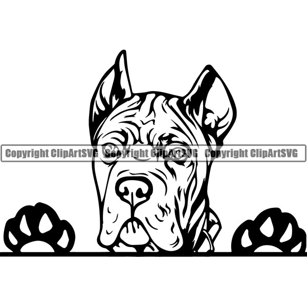 Cane Corso Peeking Dog Breed Clipart SVG