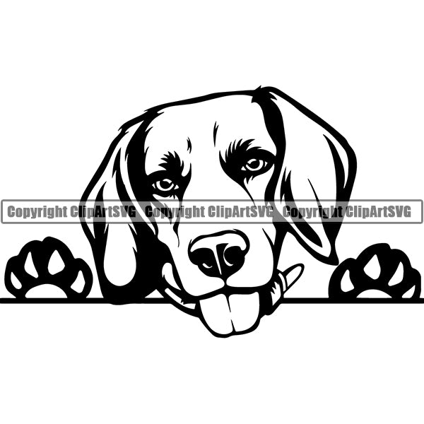 Beagle Peeking Dog Breed Clipart SVG 001