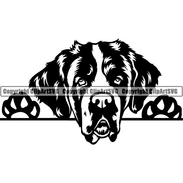 Saint Bernard Peeking Dog Breed ClipArt SVG 002