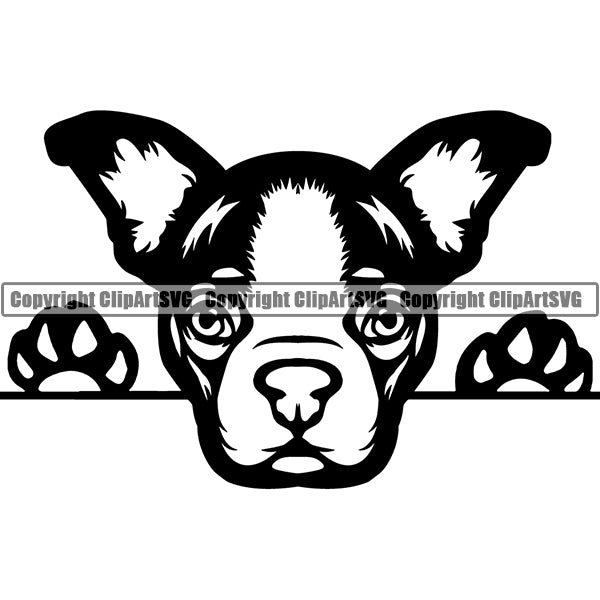 Boston Terrier Peeking Dog Breed Clipart SVG 002