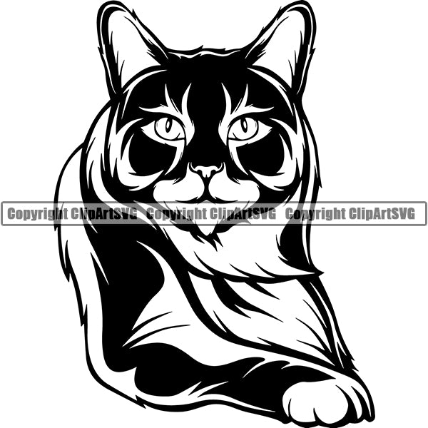 Main Coon Cat Head Face Clipart SVG 02