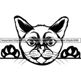 Burmese Cat Peeking CliArt SVG