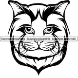 Ragdoll Cat Head Face Clipart SVG 06