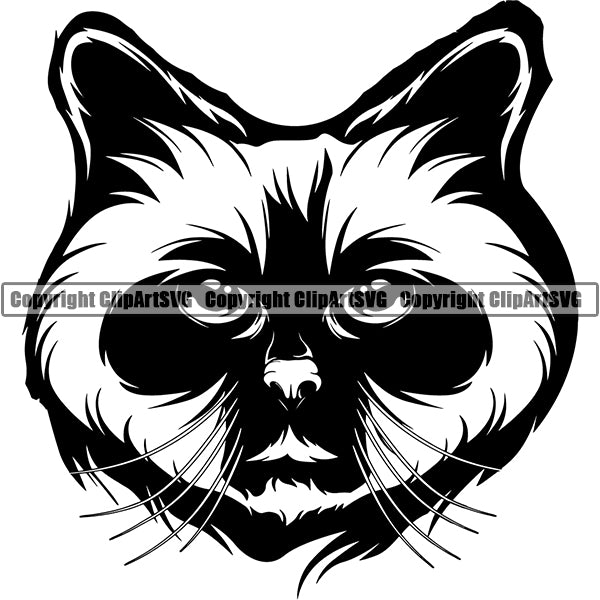Birman Cat Head Face Clipart SVG 01