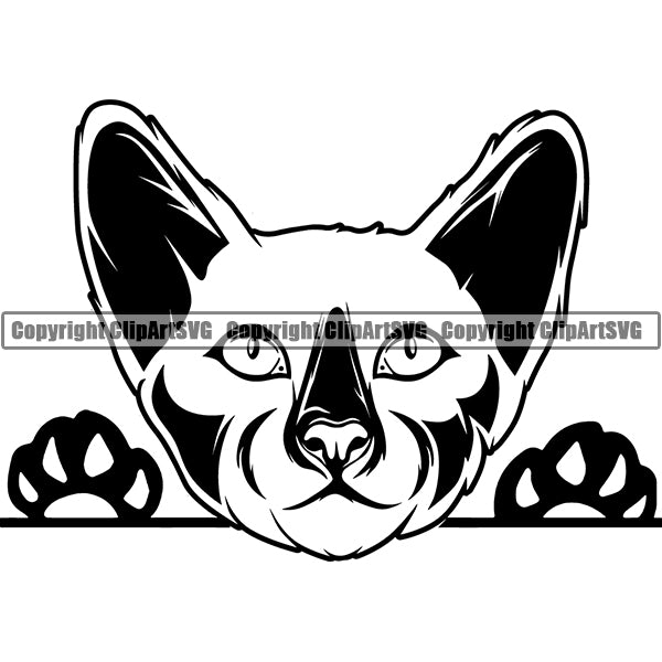 Siamese Cat Peeking CliArt SVG