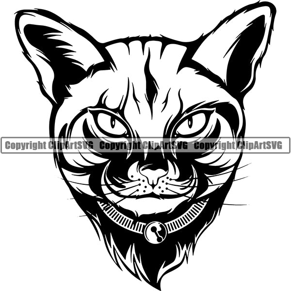 Abyssinian Cat Head Face Clipart SVG
