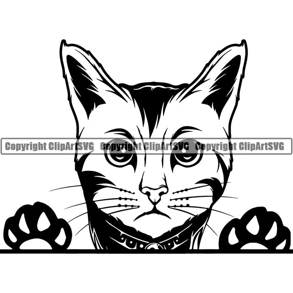 Bengal 6hy7 Cat Peeking CliArt SVG