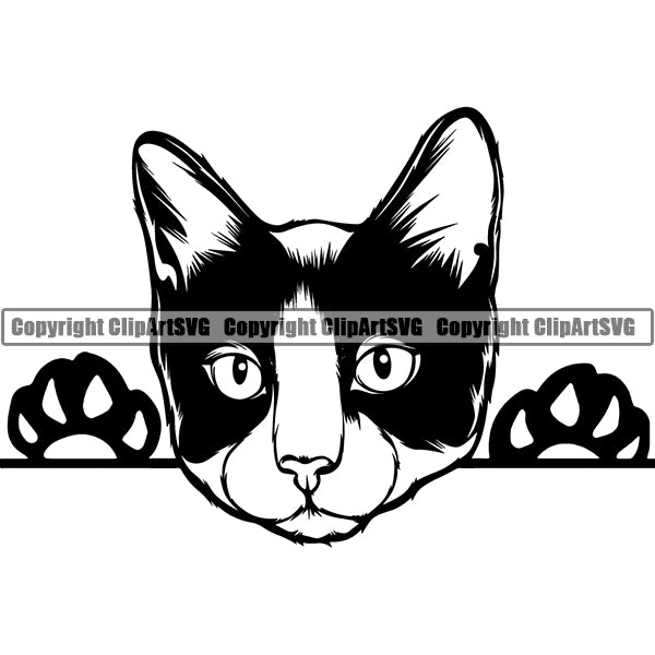 Tuxedo Cat Peeking CliArt SVG
