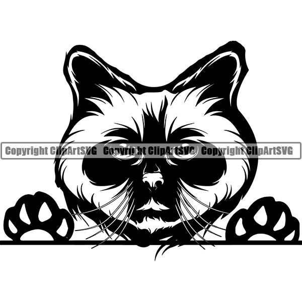 Birman Cat Peeking CliArt SVG