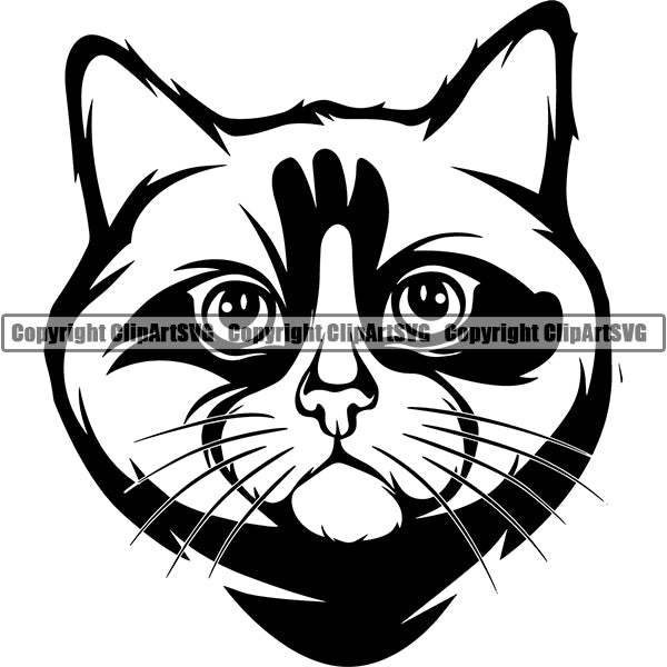 Ragdoll Cat Head Face Clipart SVG 05