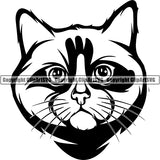 Ragdoll Cat Head Face Clipart SVG 05