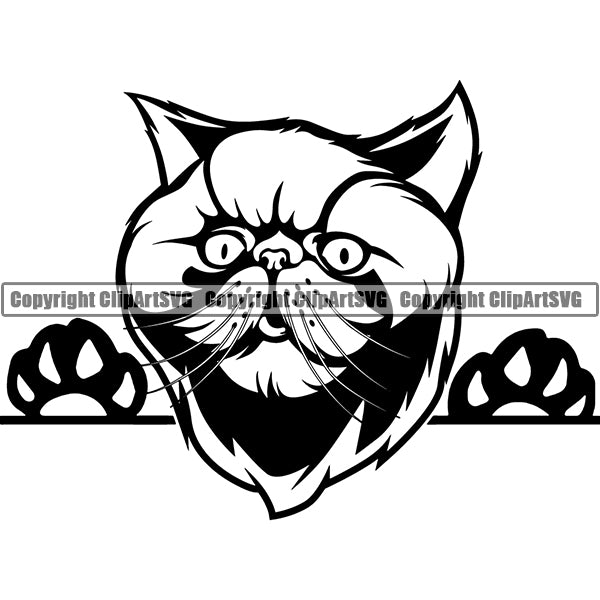 Persian Cat Peeking CliArt SVG 02