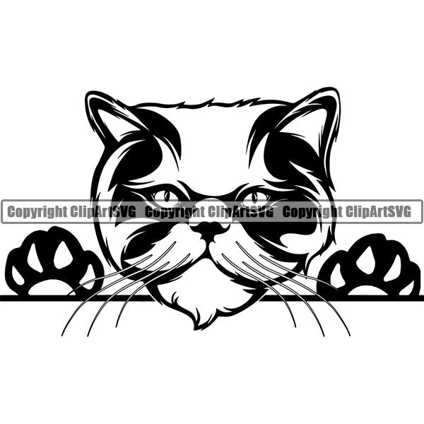 Persian Cat Peeking CliArt SVG 01