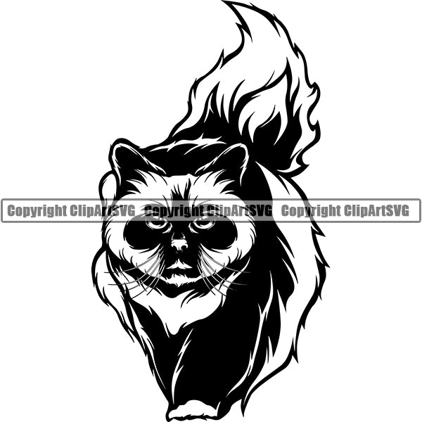 Birman Cat Head Face Clipart SVG