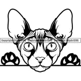 Sphynx Peeking Cat Breed ClipArt SVG