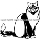 Ragdoll Cat Head Face Clipart SVG 04
