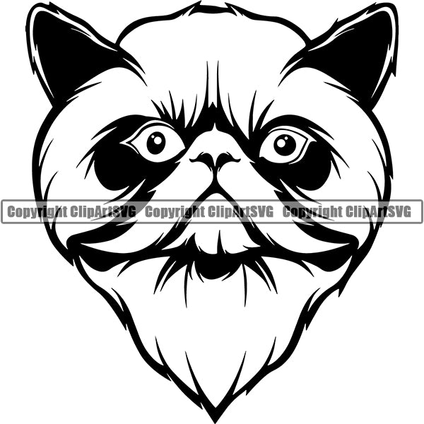 Himilayan Cat Head Face Clipart SVG