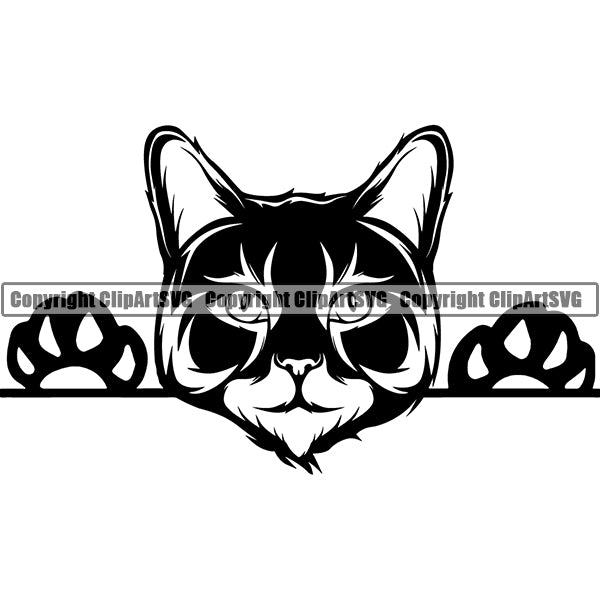 Main Coon Cat Peeking CliArt SVG