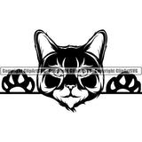 Maine Coon Peeking Cat Breed ClipArt SVG