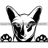 Oriental Cat Head Face Clipart SVG 01