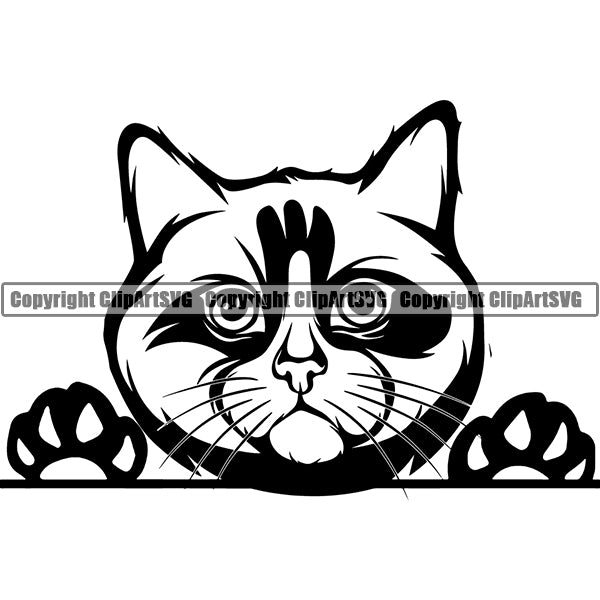 Ragdoll Cat Head Face Clipart SVG 03