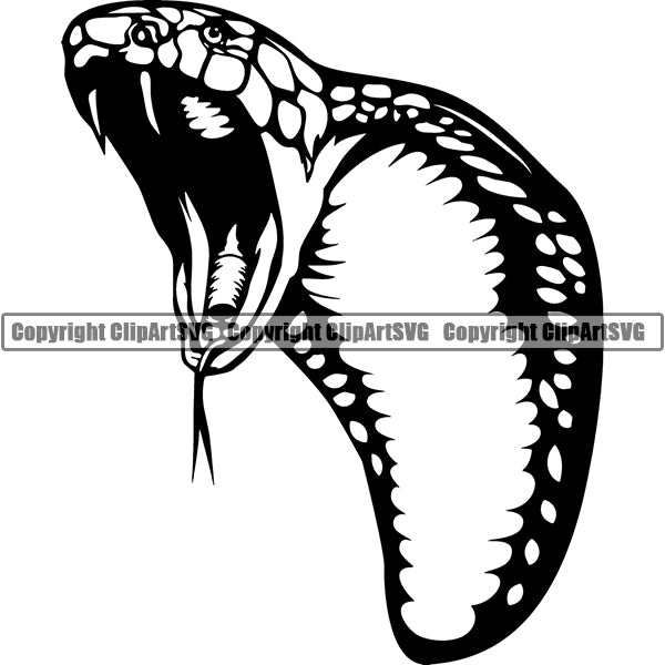Cobra edcfx ClipArt SVG File