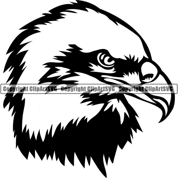Eagle Animal ClipArt SVG
