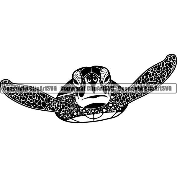 Turtle Animal ClipArt SVG