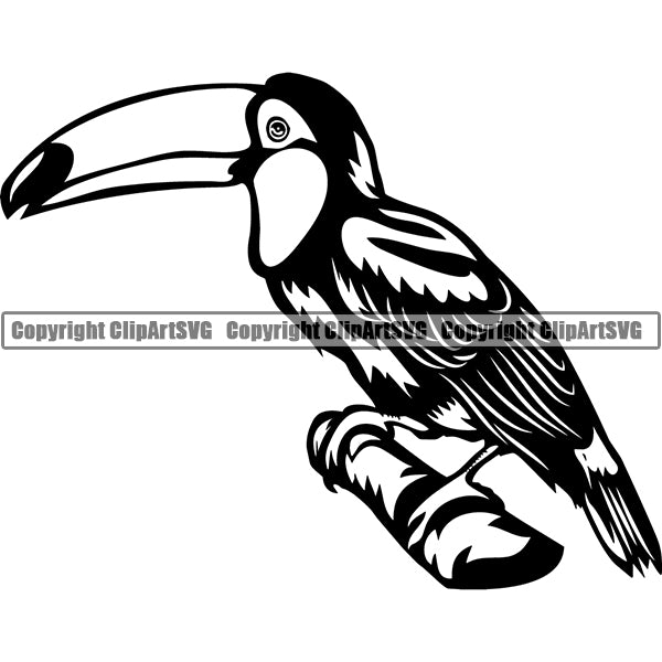 Toucan Animal ClipArt SVG