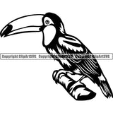 Toucan Animal ClipArt SVG