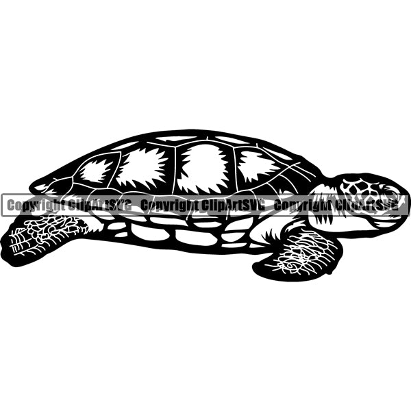Turtle Animal ClipArt SVG
