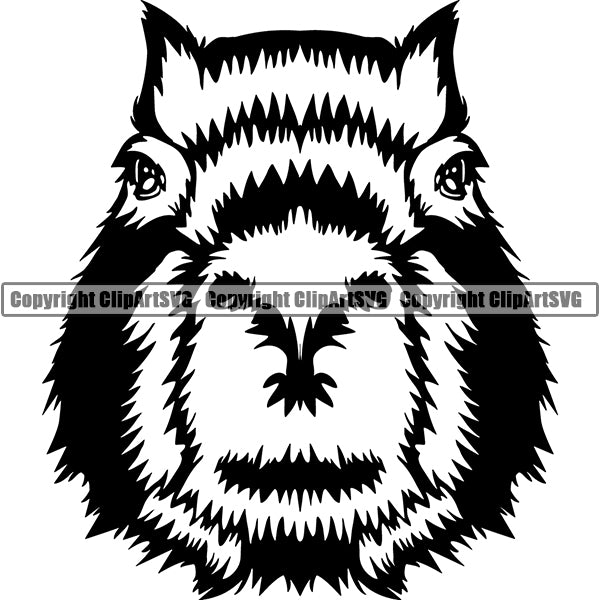 Capybara 5tg6 ClipArt SVG File