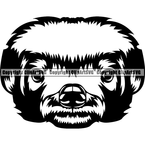 Badger Honey Animal ClipArt SVG