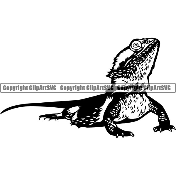 Bearded Dragon Animal ClipArt SVG