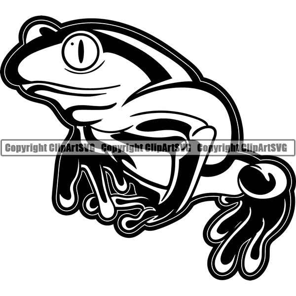 Frog Animal ClipArt SVG