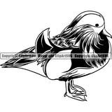 Duck Bird Animal ClipArt SVG