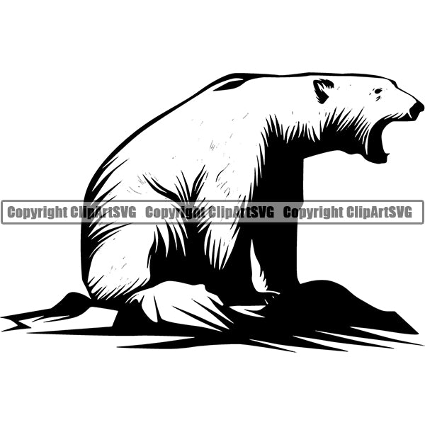 Polar Bear Animal ClipArt SVG