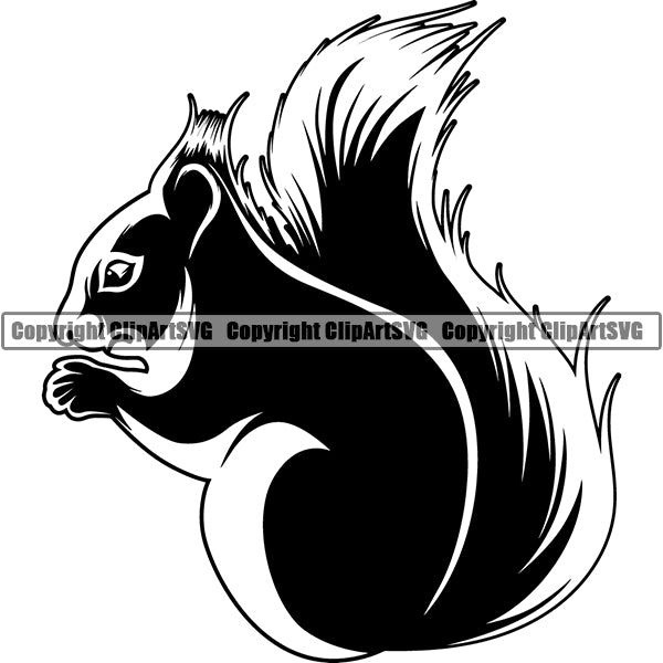 Squirrel Animal ClipArt SVG