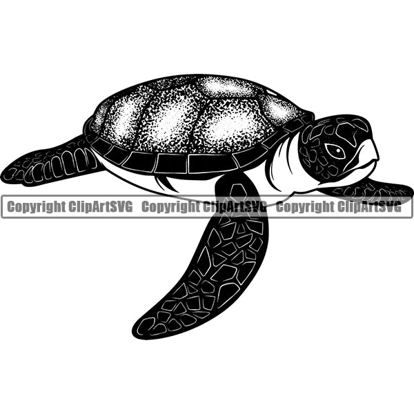Turtle Sea Animal ClipArt SVG