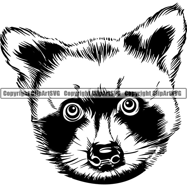 Raccoon Animal ClipArt SVG