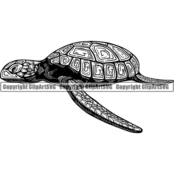 Turtle Animal ClipArt SVG