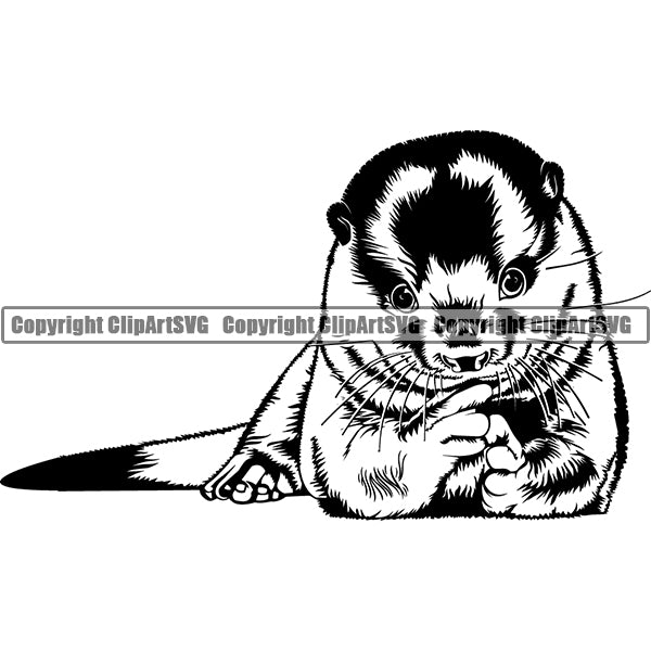 Otter Animal ClipArt SVG