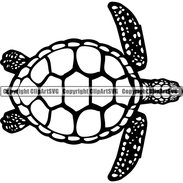 Turtle Animal ClipArt SVG