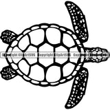 Turtle Tortoise Sea Fresh Water Animal ClipArt SVG