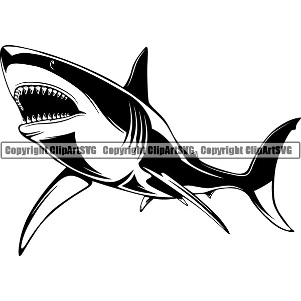 Shark Animal ClipArt SVG